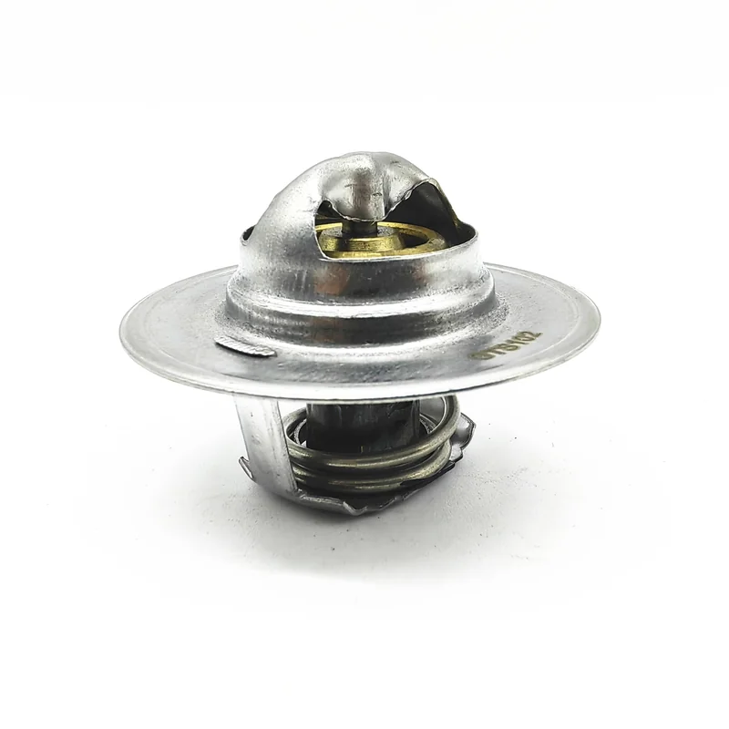 Thermostat GTS102 for Classic Mini