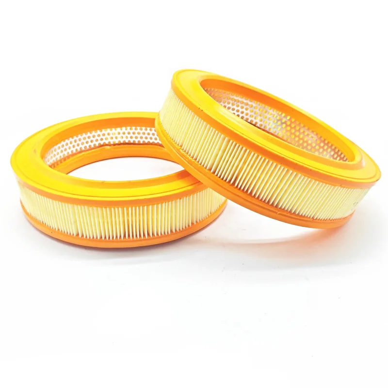 Air Filter 12G806 for Classic Mini